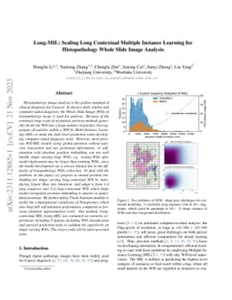 Long-MIL: Scaling Long Contextual Multiple Instance Learning for
  Histopathology Whole Slide Image Analysis