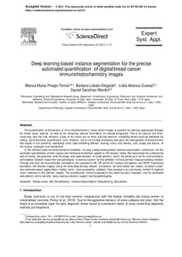 Deep learning-based instance segmentation for the precise automated
  quantification of digital breast cancer immunohistochemistry images