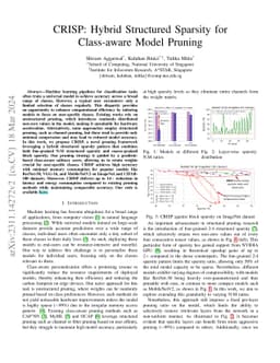 CRISP: Hybrid Structured Sparsity for Class-aware Model Pruning