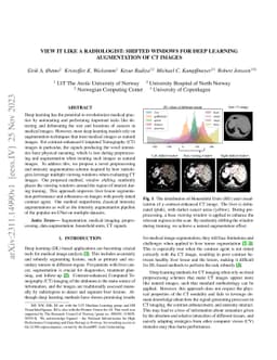 View it like a radiologist: Shifted windows for deep learning
  augmentation of CT images