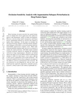 Occlusion Sensitivity Analysis with Augmentation Subspace Perturbation
  in Deep Feature Space