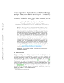 Semi-supervised Segmentation of Histopathology Images with Noise-Aware
  Topological Consistency