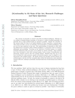 (Ir)rationality in AI: State of the Art, Research Challenges and Open Questions