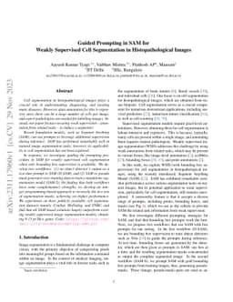 Guided Prompting in SAM for Weakly Supervised Cell Segmentation in
  Histopathological Images
