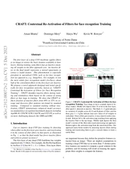 CRAFT: Contextual Re-Activation of Filters for face recognition Training