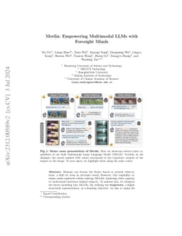 Merlin:Empowering Multimodal LLMs with Foresight Minds