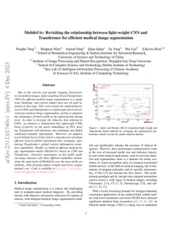 MobileUtr: Revisiting the relationship between light-weight CNN and
  Transformer for efficient medical image segmentation