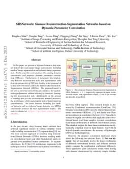 SRSNetwork: Siamese Reconstruction-Segmentation Networks based on
  Dynamic-Parameter Convolution