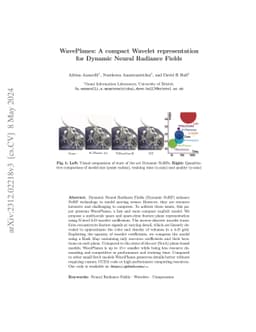 WavePlanes: A compact Wavelet representation for Dynamic Neural Radiance
  Fields
