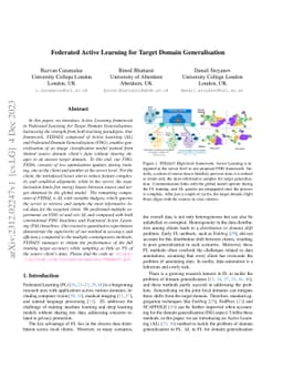 Federated Active Learning for Target Domain Generalisation
