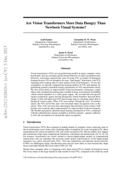 Are Vision Transformers More Data Hungry Than Newborn Visual Systems?