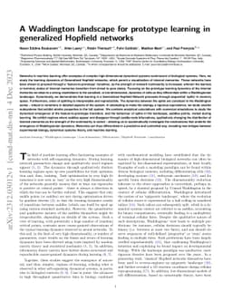A Waddington landscape for prototype learning in generalized Hopfield
  networks