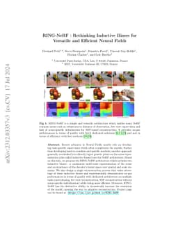 RING-NeRF : Rethinking Inductive Biases for Versatile and Efficient
  Neural Fields