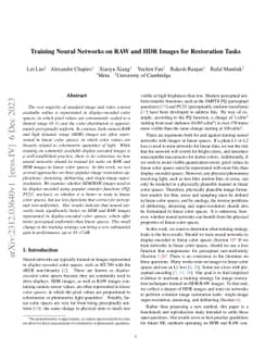 Training Neural Networks on RAW and HDR Images for Restoration Tasks
