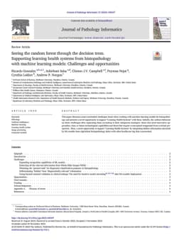 Seeing the random forest through the decision trees. Supporting learning
  health systems from histopathology with machine learning models: Challenges
  and opportunities