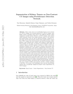 Segmentation of Kidney Tumors on Non-Contrast CT Images using
  Protuberance Detection Network