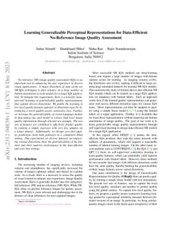 Learning Generalizable Perceptual Representations for Data-Efficient
  No-Reference Image Quality Assessment