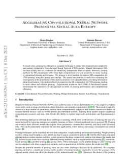 Accelerating Convolutional Neural Network Pruning via Spatial Aura
  Entropy