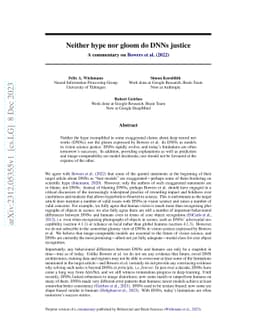 Neither hype nor gloom do DNNs justice
