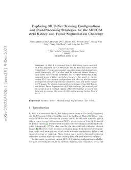 Exploring 3D U-Net Training Configurations and Post-Processing
  Strategies for the MICCAI 2023 Kidney and Tumor Segmentation Challenge