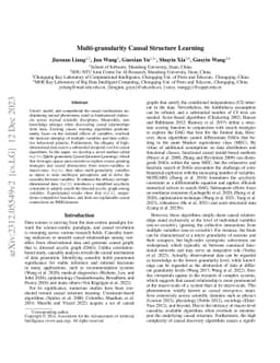 Multi-granularity Causal Structure Learning