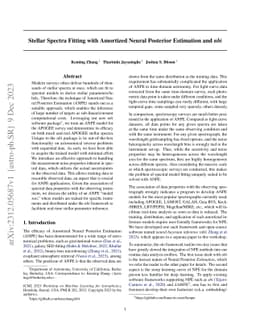 Stellar Spectra Fitting with Amortized Neural Posterior Estimation and
  nbi