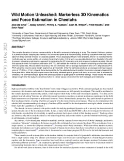 Wild Motion Unleashed: Markerless 3D Kinematics and Force Estimation in
  Cheetahs