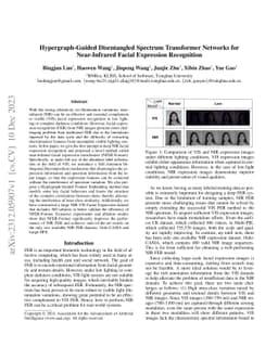 Hypergraph-Guided Disentangled Spectrum Transformer Networks for
  Near-Infrared Facial Expression Recognition