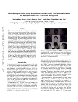 Multi-Energy Guided Image Translation with Stochastic Differential
  Equations for Near-Infrared Facial Expression Recognition