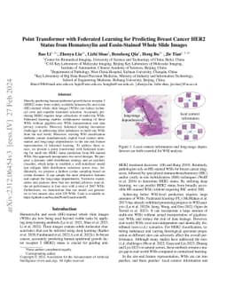 Point Transformer with Federated Learning for Predicting Breast Cancer
  HER2 Status from Hematoxylin and Eosin-Stained Whole Slide Images