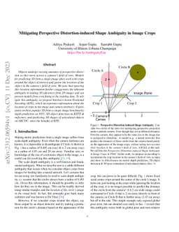 Mitigating Perspective Distortion-induced Shape Ambiguity in Image Crops