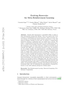 Evolving Reservoirs for Meta Reinforcement Learning