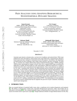 Pain Analysis using Adaptive Hierarchical Spatiotemporal Dynamic Imaging