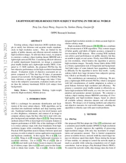 Lightweight high-resolution Subject Matting in the Real World