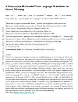 A Foundational Multimodal Vision Language AI Assistant for Human
  Pathology