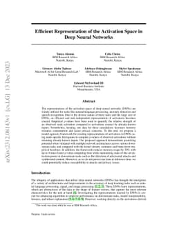Efficient Representation of the Activation Space in Deep Neural Networks