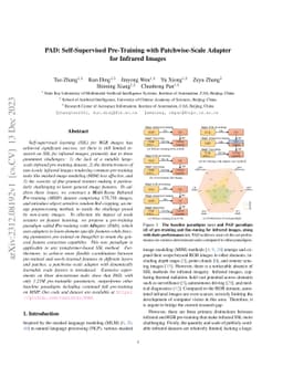 PAD: Self-Supervised Pre-Training with Patchwise-Scale Adapter for
  Infrared Images