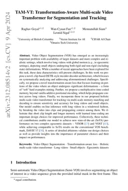 TAM-VT: Transformation-Aware Multi-scale Video Transformer for
  Segmentation and Tracking
