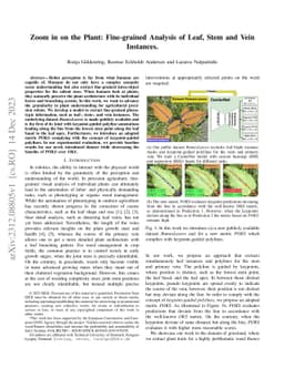 Zoom in on the Plant: Fine-grained Analysis of Leaf, Stem and Vein
  Instances