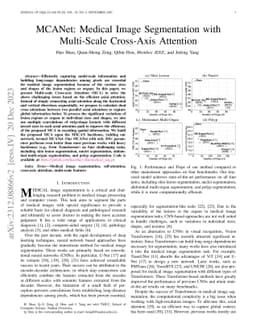MCANet: Medical Image Segmentation with Multi-Scale Cross-Axis Attention