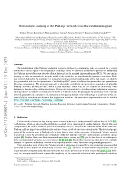 Probabilistic learning of the Purkinje network from the
  electrocardiogram