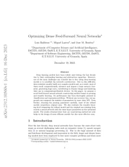 Optimizing Dense Feed-Forward Neural Networks