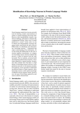 Identification of Knowledge Neurons in Protein Language Models