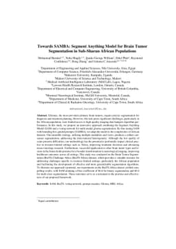 Towards SAMBA: Segment Anything Model for Brain Tumor Segmentation in
  Sub-Sharan African Populations