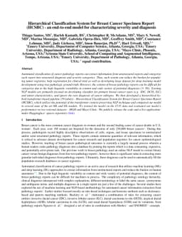 Hierarchical Classification System for Breast Cancer Specimen Report
  (HCSBC) -- an end-to-end model for characterizing severity and diagnosis
