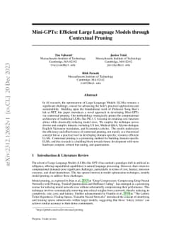 Mini-GPTs: Efficient Large Language Models through Contextual Pruning