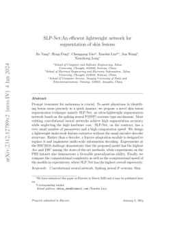 SLP-Net:An efficient lightweight network for segmentation of skin
  lesions
