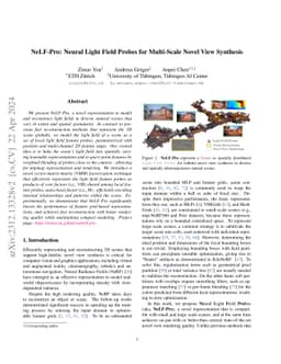 NeLF-Pro: Neural Light Field Probes for Multi-Scale Novel View Synthesis