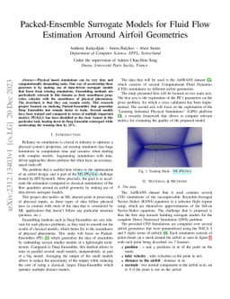 Packed-Ensemble Surrogate Models for Fluid Flow Estimation Arround
  Airfoil Geometries