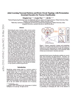Joint Learning Neuronal Skeleton and Brain Circuit Topology with
  Permutation Invariant Encoders for Neuron Classification